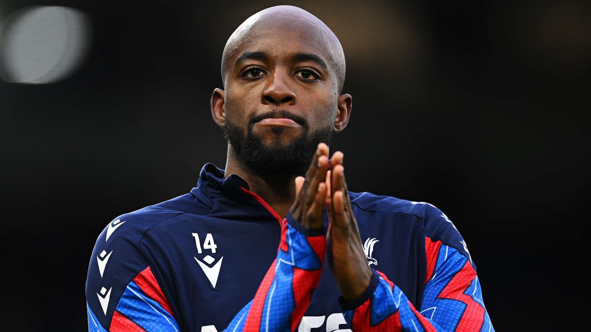 比布萊頓的 比布萊頓的